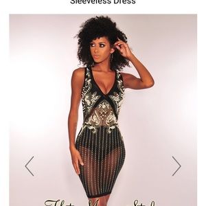 NWT Pearl Black Mesh Dress INCLUDING Bottom Insert